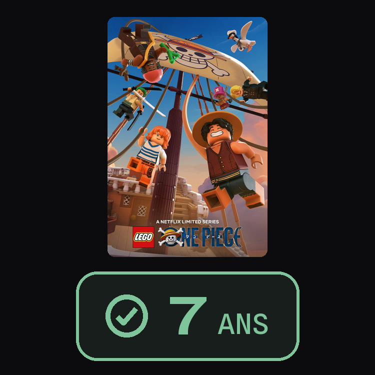 LEGO One Piece : zinema 7 ans