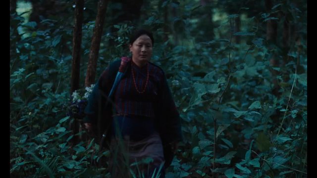 Bande-annonce de Les Éléphants dans la brume