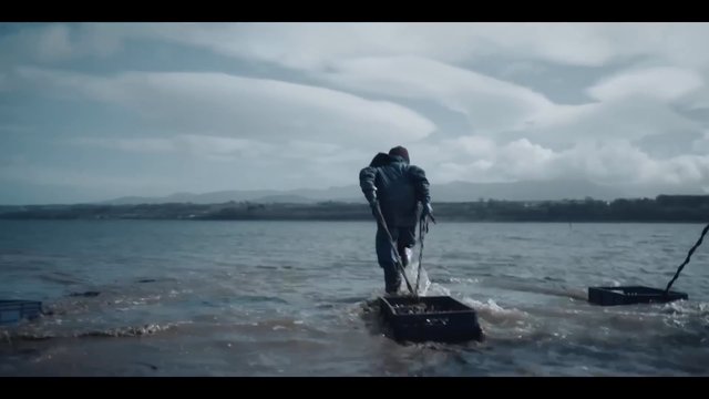 Bande-annonce de Face à la mer
