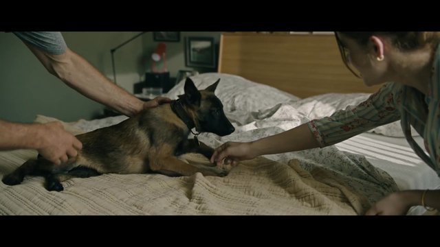The Dog Stars