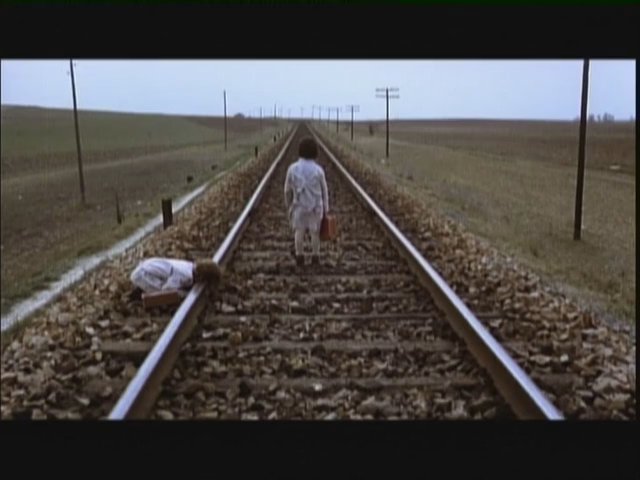 Bande-annonce de L'Esprit de la ruche