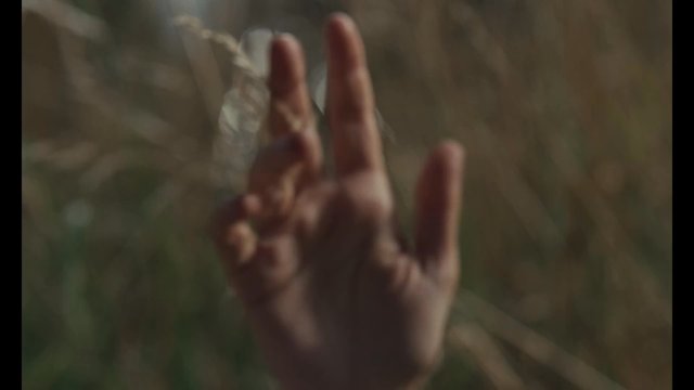 Bande-annonce de Raison et sentiments