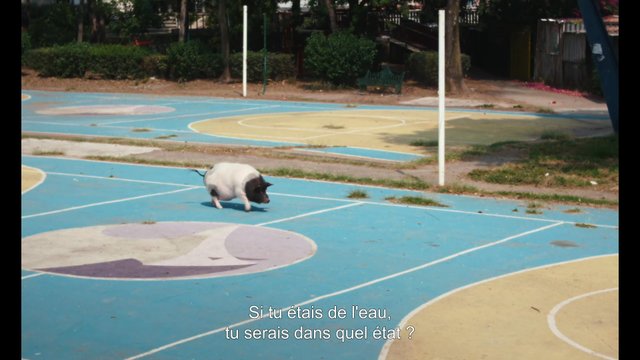 Bande-annonce de Sad Girlz