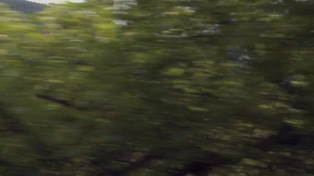 Bande-annonce de La Ligne bleue